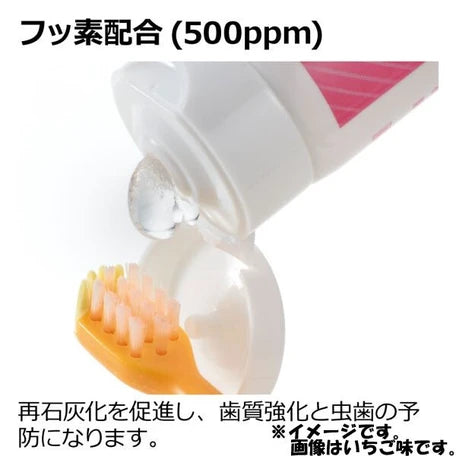 日本製 - Richell 不含氟兒童牙膏30克